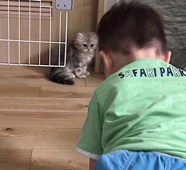 マザーズブログ　Ⅵ　